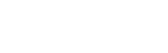 SATELLITE x GovMilSpace